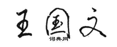 骆恒光王国文行书个性签名怎么写