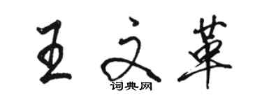 骆恒光王文革行书个性签名怎么写
