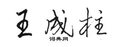 骆恒光王成柱行书个性签名怎么写