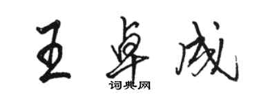 骆恒光王卓成行书个性签名怎么写