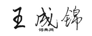 骆恒光王成锦行书个性签名怎么写
