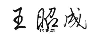 骆恒光王昭成行书个性签名怎么写