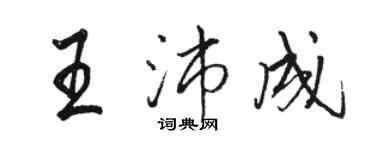 骆恒光王沛成行书个性签名怎么写
