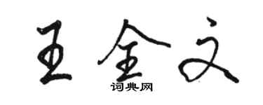 骆恒光王全文行书个性签名怎么写