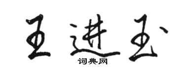 骆恒光王进玉行书个性签名怎么写
