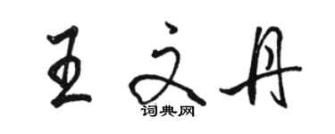 骆恒光王文丹行书个性签名怎么写