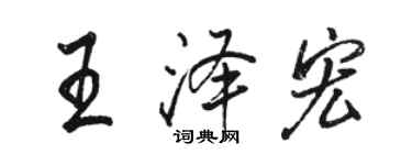 骆恒光王泽宏行书个性签名怎么写