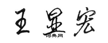 骆恒光王显宏行书个性签名怎么写