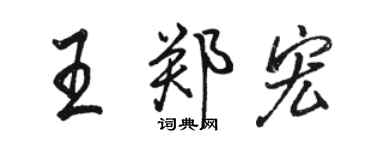 骆恒光王郑宏行书个性签名怎么写