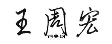 骆恒光王周宏行书个性签名怎么写