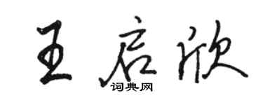 骆恒光王启欣行书个性签名怎么写