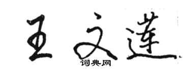 骆恒光王文莲行书个性签名怎么写