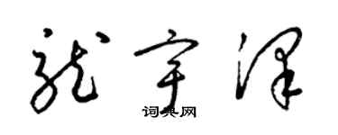 梁锦英龙宇泽草书个性签名怎么写