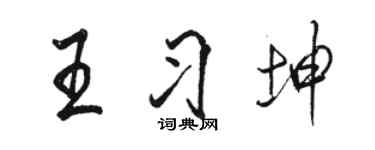 骆恒光王习坤行书个性签名怎么写