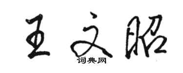 骆恒光王文昭行书个性签名怎么写