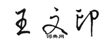 骆恒光王文印行书个性签名怎么写