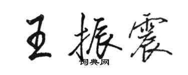 骆恒光王振震行书个性签名怎么写