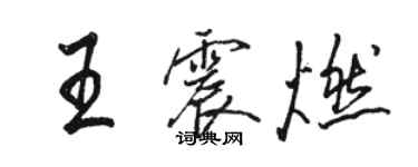 骆恒光王震燃行书个性签名怎么写