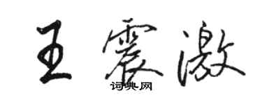 骆恒光王震激行书个性签名怎么写