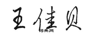 骆恒光王佳贝行书个性签名怎么写