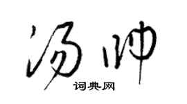 梁锦英汤帅草书个性签名怎么写