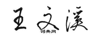 骆恒光王文溪行书个性签名怎么写