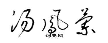 梁锦英汤凤兰草书个性签名怎么写