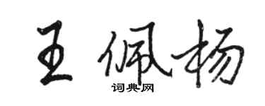 骆恒光王佩杨行书个性签名怎么写