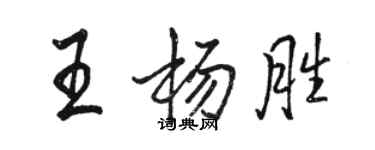 骆恒光王杨胜行书个性签名怎么写