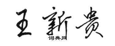 骆恒光王新贵行书个性签名怎么写