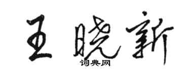 骆恒光王晓新行书个性签名怎么写