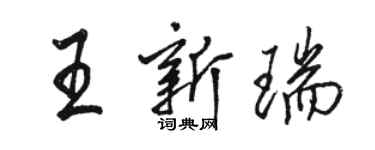 骆恒光王新瑞行书个性签名怎么写
