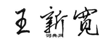 骆恒光王新宽行书个性签名怎么写