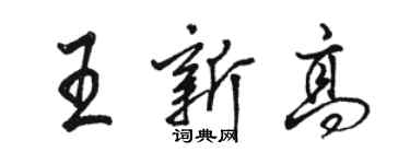 骆恒光王新高行书个性签名怎么写