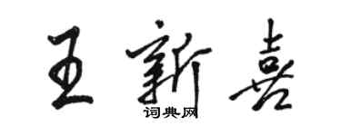骆恒光王新喜行书个性签名怎么写