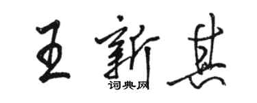 骆恒光王新其行书个性签名怎么写