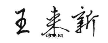 骆恒光王来新行书个性签名怎么写