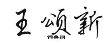 骆恒光王颂新行书个性签名怎么写