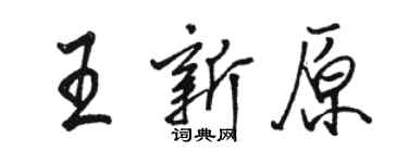 骆恒光王新原行书个性签名怎么写