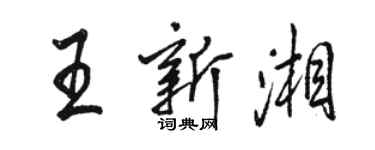 骆恒光王新湘行书个性签名怎么写