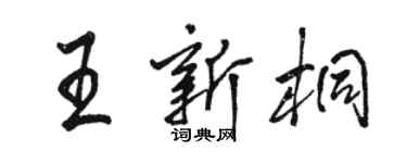 骆恒光王新桐行书个性签名怎么写