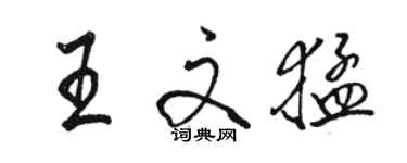 骆恒光王文猛行书个性签名怎么写
