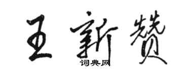 骆恒光王新赞行书个性签名怎么写