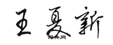 骆恒光王夏新行书个性签名怎么写