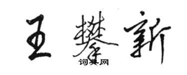 骆恒光王攀新行书个性签名怎么写