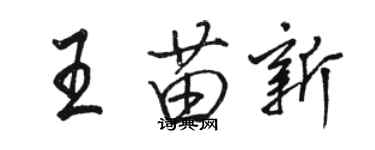 骆恒光王苗新行书个性签名怎么写