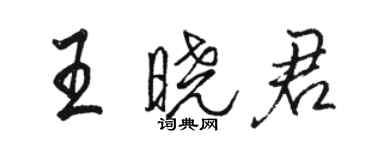骆恒光王晓君行书个性签名怎么写