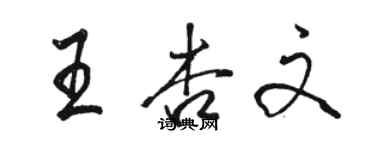 骆恒光王杏文行书个性签名怎么写
