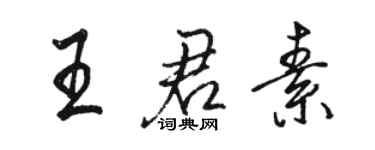 骆恒光王君素行书个性签名怎么写