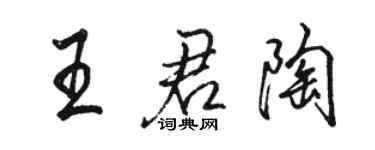 骆恒光王君陶行书个性签名怎么写